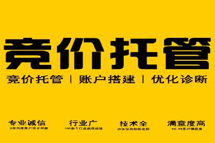 竞价代运营实战案例深度剖析